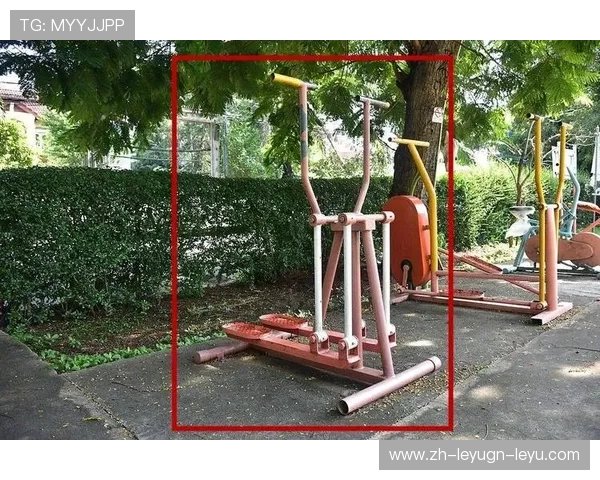 社区常见健身器材的具体功能和操作说明